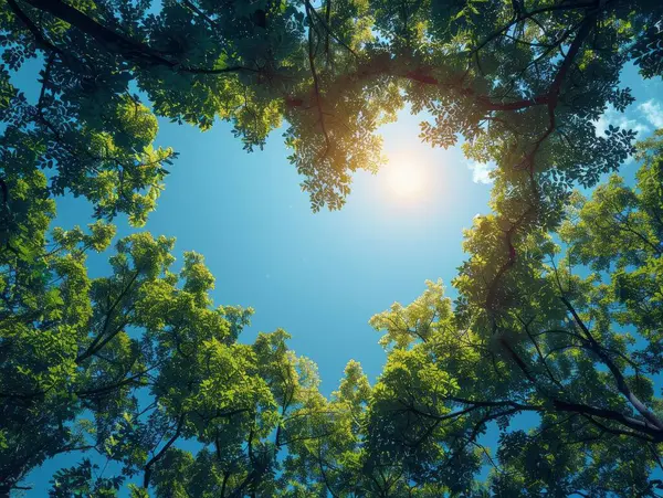 A heart-shaped tree canopy viewed from below symbolizing tree love and dedication against a clear blue sky background on a sunny afternoon.