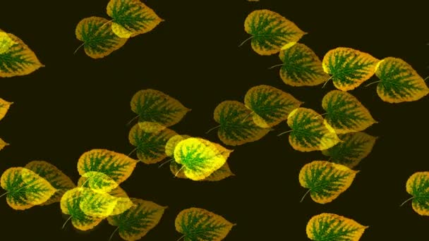 Artistic Creative Video Computer Render Plant Background Falling Yellow Flying — Vídeos de Stock