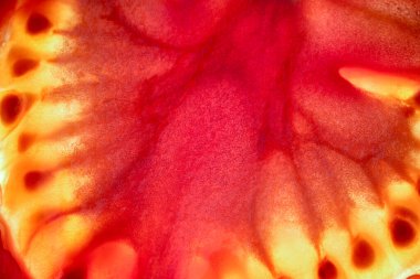 Kesilen bir domatesin soyut arka plan makro fotoğrafçılığı