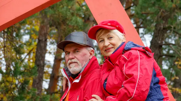 Elderly Gray Haired Optimistic Couple Love Man Woman Landscape Park — Stock Photo, Image