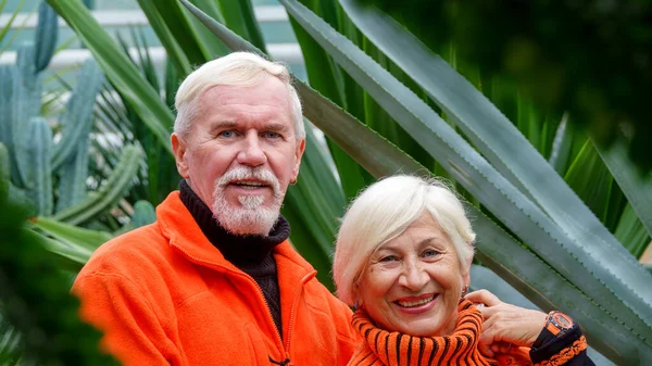 Elderly gray-haired optimistic couple in love man and woman against the background of green plants in the botanical garden in orange sweaters