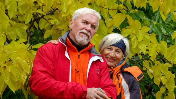 年上の白髪楽観的なカップルで愛男と女に背景に黄色の秋の植物で明るいウインドブレーカー — ストック写真