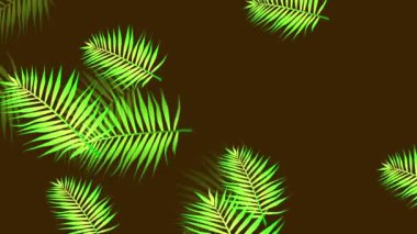 Yeşil yapraklar yavaş yavaş bir girdap üzerine düşüyor, video girişi, düzenleme için bilgisayar hazırlama klibi