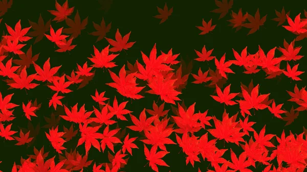 Pflanze Natürlichen Hintergrund Der Herbstblätter Auf Einem Grünen Hintergrund Großformat — Stockfoto