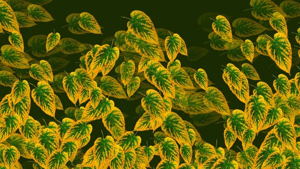 Pflanze Natürlichen Hintergrund Der Herbstblätter Auf Einem Grünen Hintergrund Großformat — Stockfoto