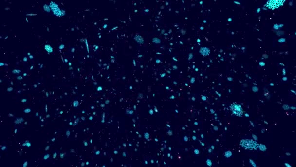 Neujahr Video Illustration Hintergrund Splash Bildschirm Mit Fliegenden Schneeflocken Auf — Stockvideo
