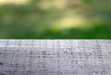 Yeşil bitki arka planında yaprak bitkisi makro fotoğrafçılığı