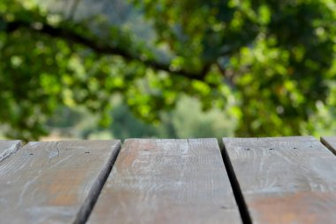 Metin, bilgi ve yeşil bulanık alan için ahşap arkaplan, tasarım projeleri için boş, afişler, web sitesi tasarımı.