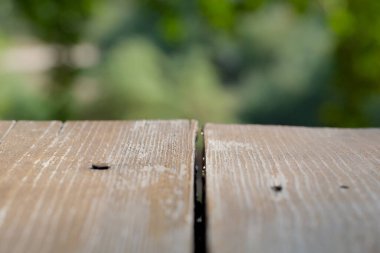 Metin, bilgi ve yeşil bulanık alan için ahşap arkaplan, tasarım projeleri için boş, afişler, web sitesi tasarımı.