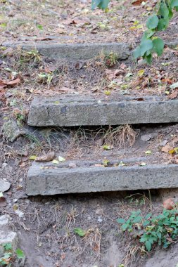 Bahçe manzarasında baharın sonlarında bahçe düzenleme merdivenleri.