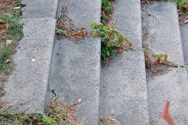 晴れた夏の日に撮影された近くの都市花崗岩の階段 — ストック写真