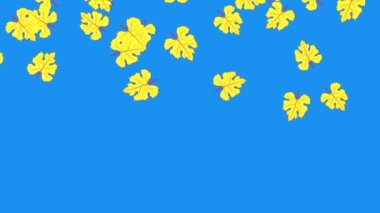 Sarı sonbahar yaprakları mavi bir arkaplan, video giriş, düzenleme için bilgisayar görüntüleme klibi üzerinde yavaş yavaş düşüş