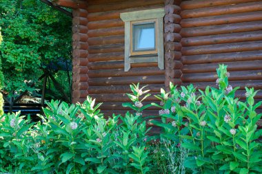 Pencereli ve önünde çiçekler olan bir kütük kulübe..