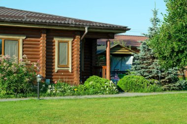 Yeşil çimleri ve mavi ladin ağaçları olan ahşap bir kulübe..