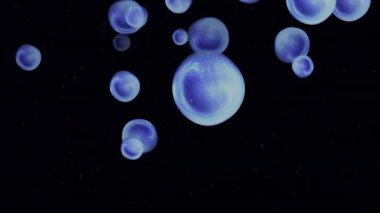 Tanık, koyu bir arka planda zarafetle ilerleyen mavi hücreler..