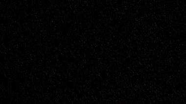 Alacakaranlık sihrini deneyimleyin. Yaratıklar dingin bir orman yolculuğunda ortaya çıkar..