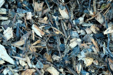 Organik gübre yerde yatar, nemi korurken toprağı besler..