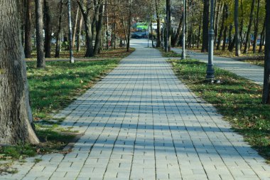 Huzurlu bir yol, sonbahar yapraklarıyla süslenmiş sessiz bir parkta gezintiye çıkar..
