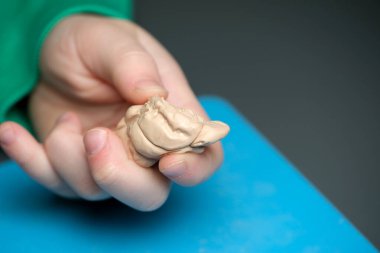 Çocuğun eli, yaratıcılığa dalmışken yumuşak çamuru ustalıkla şekillendirir..