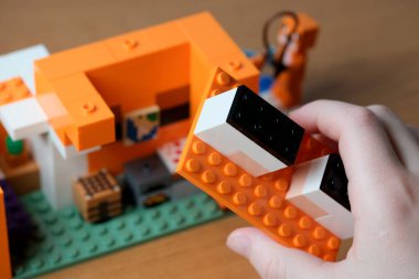 Canlı blokların bir araya getirilmesi her yaş için hayal gücü ve neşe uyandırır..