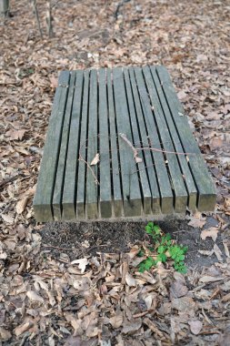 Tahta tezgah sonbaharda yerin üstünde süzülüyor gibi görünüyor..