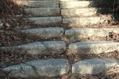 Güneş ışığı doğanın kucağındaki taştan adımları aydınlatır..