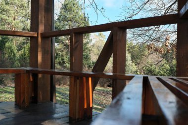 Güneş ışığı ağaçların arasından süzülür, tahtadan bir bankta gölgeler bırakır..