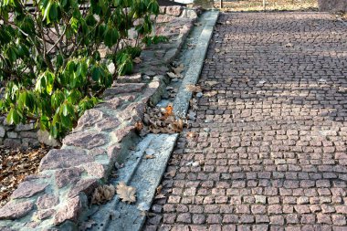 Huzurlu bir yürüyüş yolu dökülen yapraklarla kaplıdır..