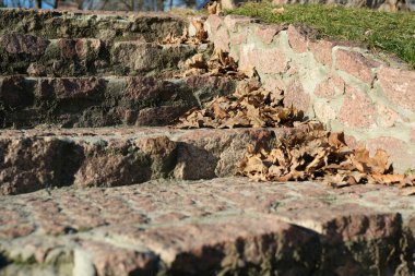 Güneş ışığı, altın sonbahar yapraklarıyla kaplı taş basamakları aydınlatır..