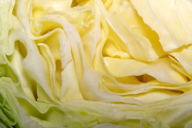 Hassas lahana katmanları canlı yeşil ve sarı renklerini sergiliyor..