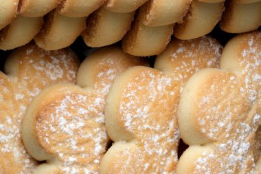 Rafa serpiştirilmiş taze pişmiş şeker serpiştirilmiş kurabiyeler. Altın kenarları ve yumuşak merkezleri, tatlı düşkünü herkesi çağırır, keyifli ve davetkar.