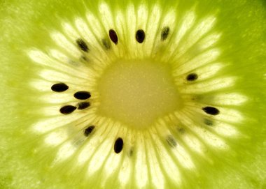 Canlı bir kivi dilimi eşsiz dokusunu ve parlak renklerini gösterir..