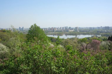 Bereketli yeşilliğin sakin manzarası canlı bir şehir ve sakin bir göl..