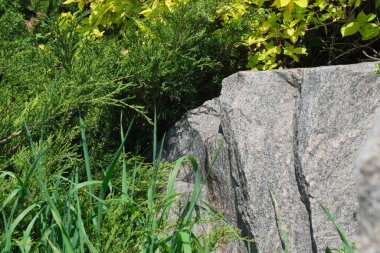 Engebeli bir kaya, yemyeşil çimenler ve parlak sarı yapraklarla harmanlanır..