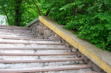Canlı yeşilliklerde yükselen adımlar, sakin bir park alanında keşif yapmaya davet eder..