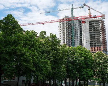 Uzun turnalar, yemyeşil ağaçlarla çevrili bir gökdelenin yapımını denetliyor..