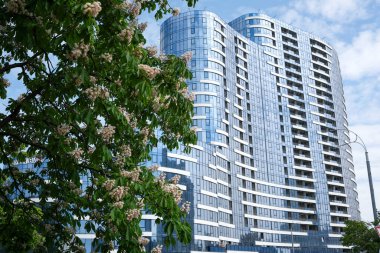 Parlak bir gökdelendeki cam cephe güneşli bir günde açan ağaçlarla tezat oluşturuyor..