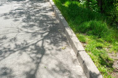 Güneş ışığı yaprakların arasından süzülür, asfalt yolda karmaşık gölgeler bırakır..