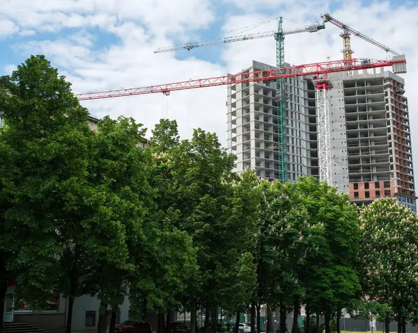 Uzun turnalar, yemyeşil ağaçlarla çevrili bir gökdelenin yapımını denetliyor..