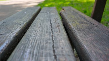 Bereketli yeşilliklerle çevrili kırsal ahşap bir bankın yakın görüntüsü dinlenmeye davet eder..