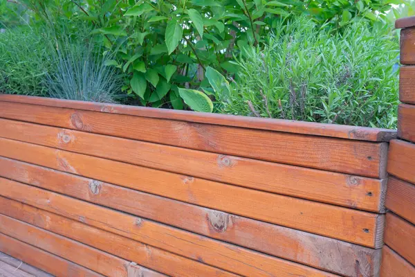 Bereketli yeşil otlar, parlak güneş ışığı altında kırsal bir ahşap fidanlıkta gelişir..