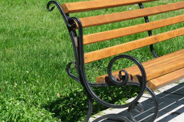 Güneş ışığı, canlı yeşilliklerle çevrili ahşap bir bankta dans eder, dinlenmeye davet eder..