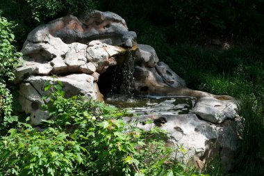 Büyüleyici bir su, canlı yeşil yaprakların arasında yavaşça akıyor, barışı davet ediyor..