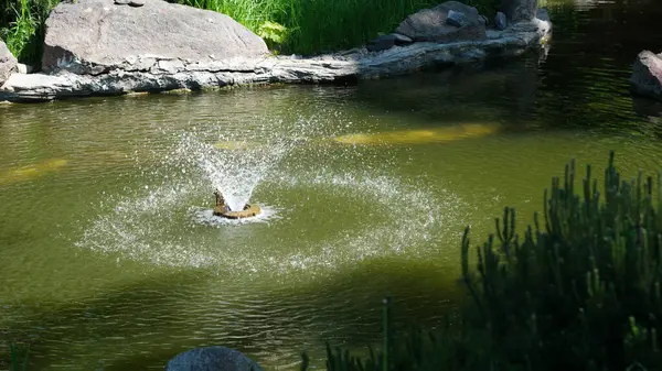 Su, yeşil otlar ve taşlarla çevrili merkezi bir çeşmeden zarif bir şekilde fışkırır..