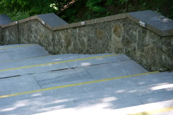 Yumuşak güneş ışığıyla kaplı adımlar huzur dolu yeşil bir vahaya iniyor, keşifleri davet ediyor..