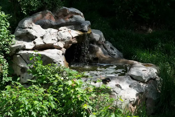 Büyüleyici bir su, canlı yeşil yaprakların arasında yavaşça akıyor, barışı davet ediyor..