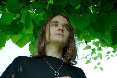 Genç bir birey, yemyeşil yaprakların altında özenle yukarı bakar..