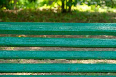 Canlı yeşil bir park bankı yemyeşil bir yeşilliğin ortasında duruyor, yazın dinlenmeye davet ediyor..