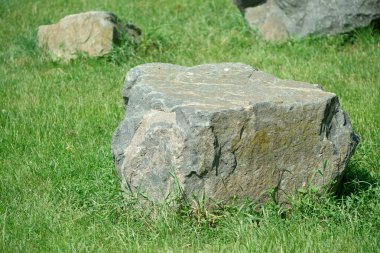 Büyük kayalar parlak güneş ışığı altında canlı yeşil bir çimenlikte huzur içinde dinlenir..