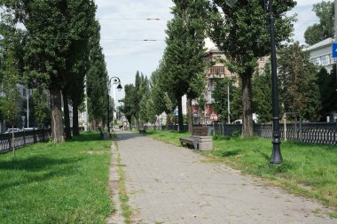 Kyiv 'deki canlı cadde davetkar yollar, yeşil ağaçlar ve huzurlu bir atmosfer gösteriyor..